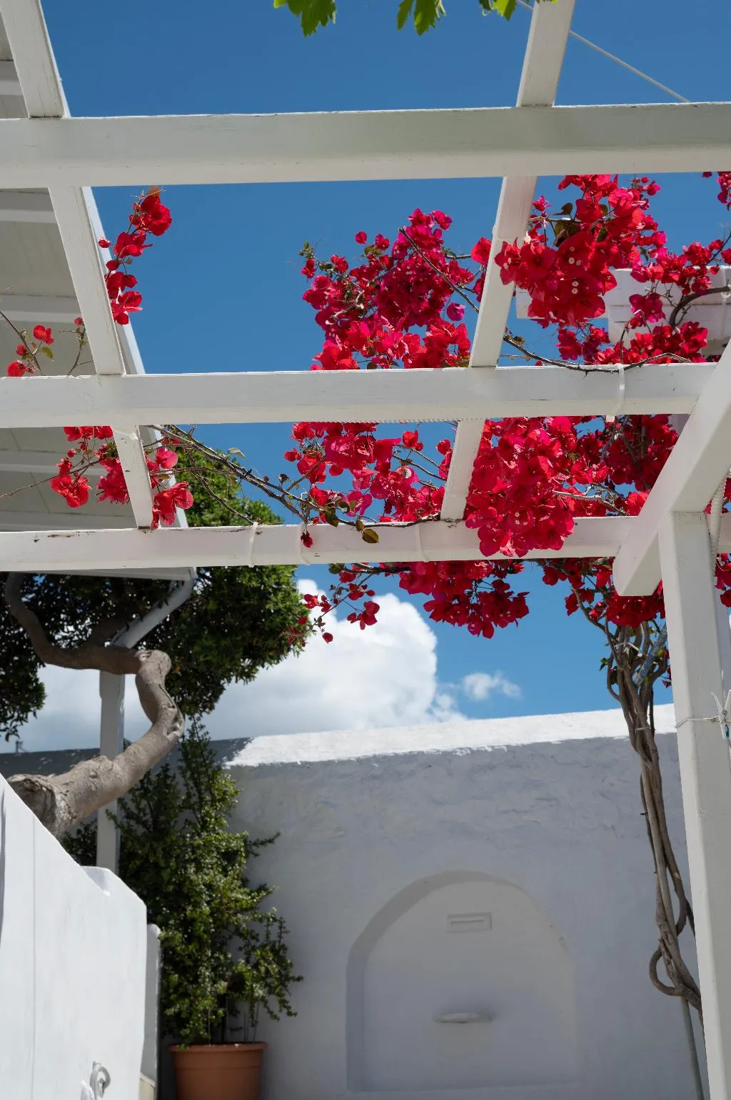 General view, Boutique Di Vito, Mykonos