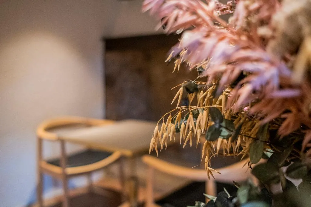Restaurant, Mas Sola, Barcelona