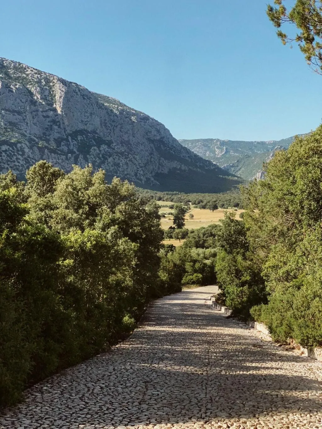 General view, Su Gologone, Olbia