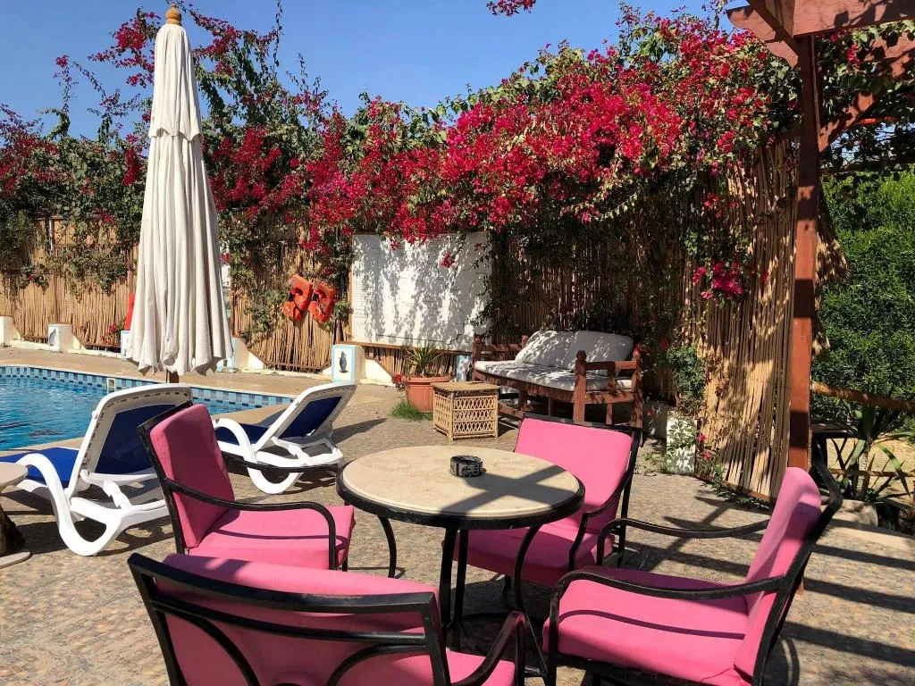 Terrace, Nile Compound Hotel, Luxor