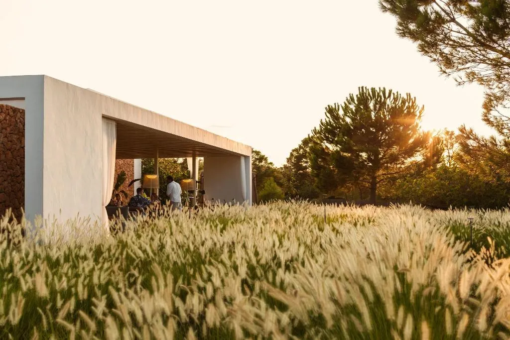 Restaurant, Ca Na Xica - Hotel & Spa, Ibiza