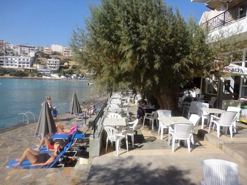 Terrace, Hotel Polydoros, Crete