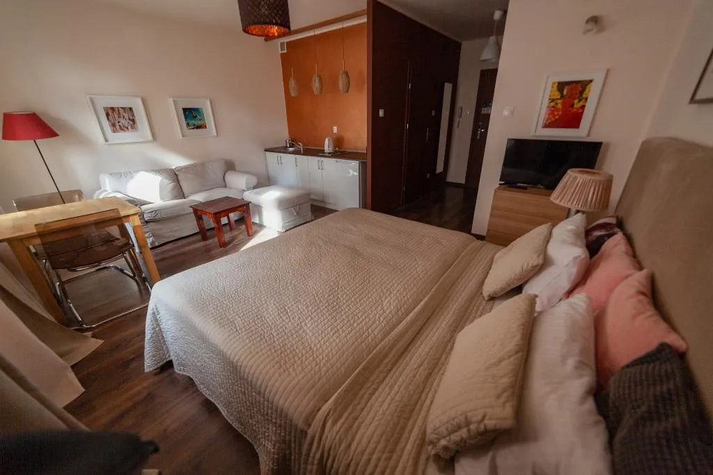 STUDIO QUEEN SIZE BED Room, Lounge Apartments, Krakow