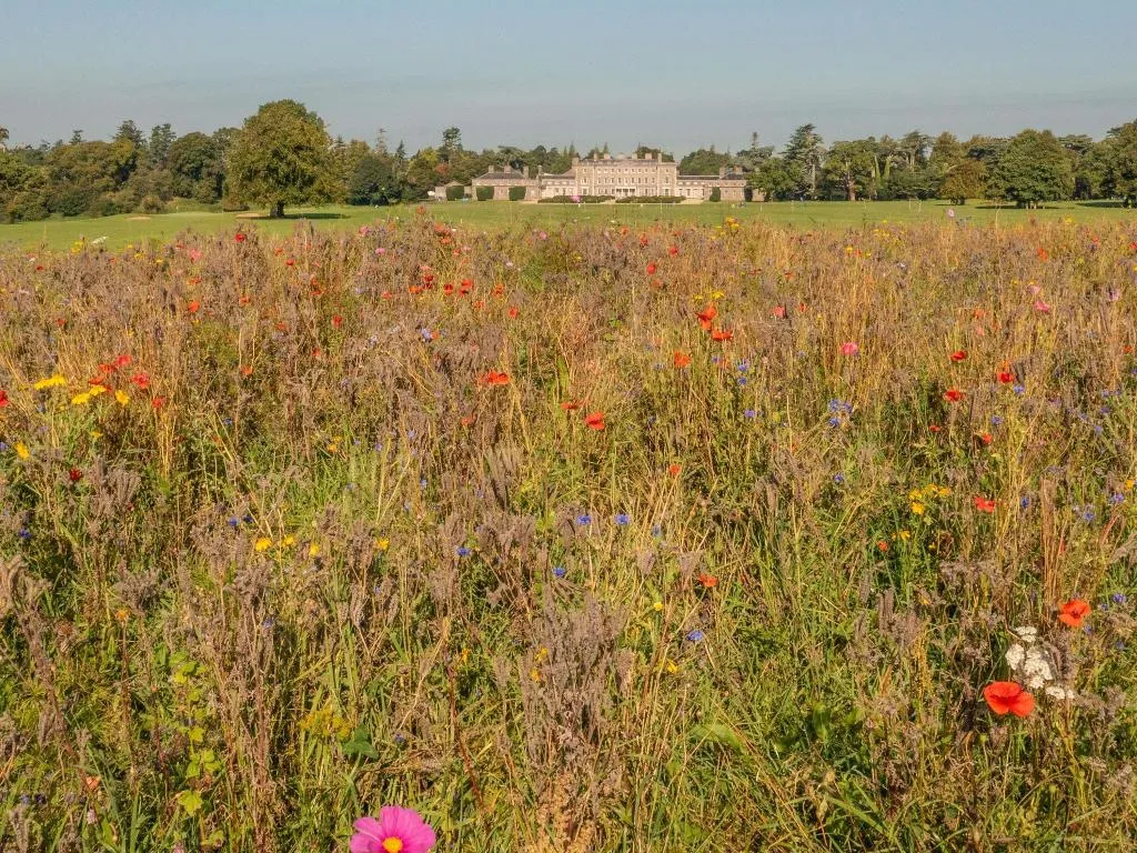 Sports and Entertainment, Carton House, a Fairmont Managed Hotel, Dublin