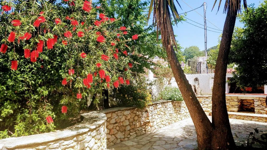APARTMENT STANDARD Room, Maria SS, Skiathos