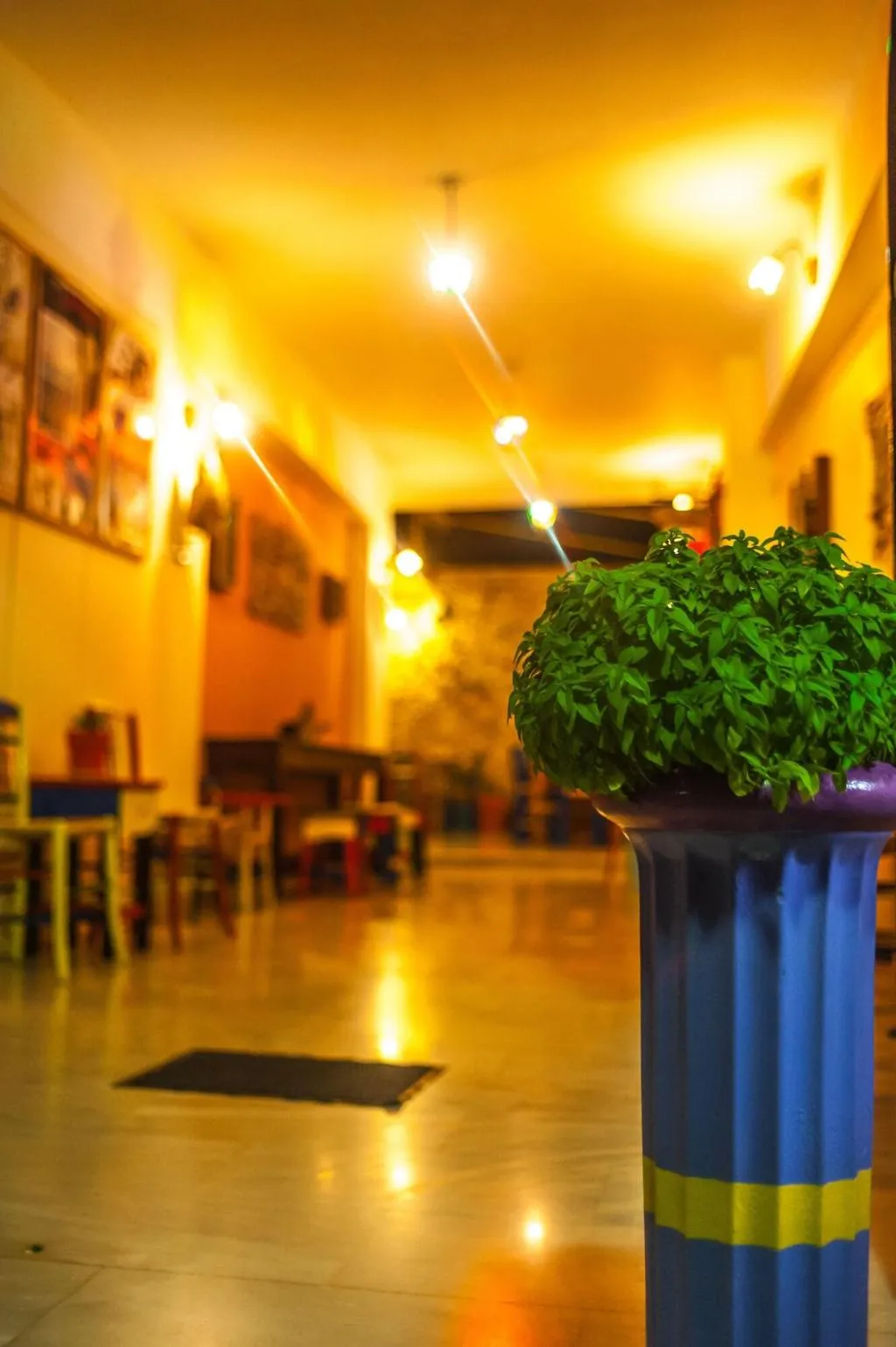 Lobby, Poco Loco Bed & Breakfast, Crete