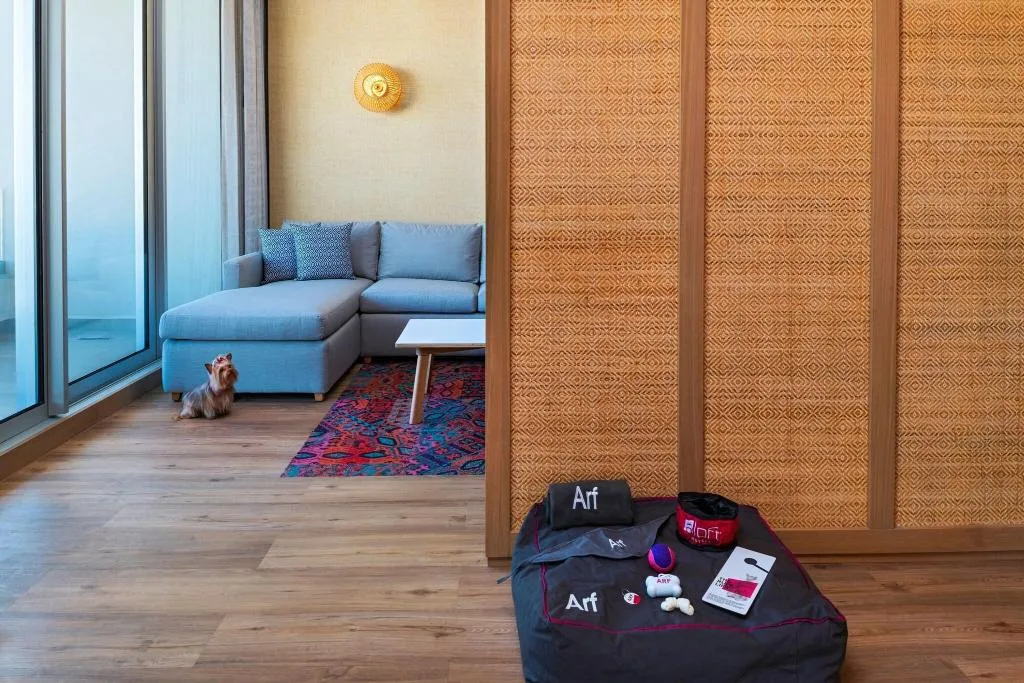 Room, Aloft Playa Del Carmen, Playa Del Carmen