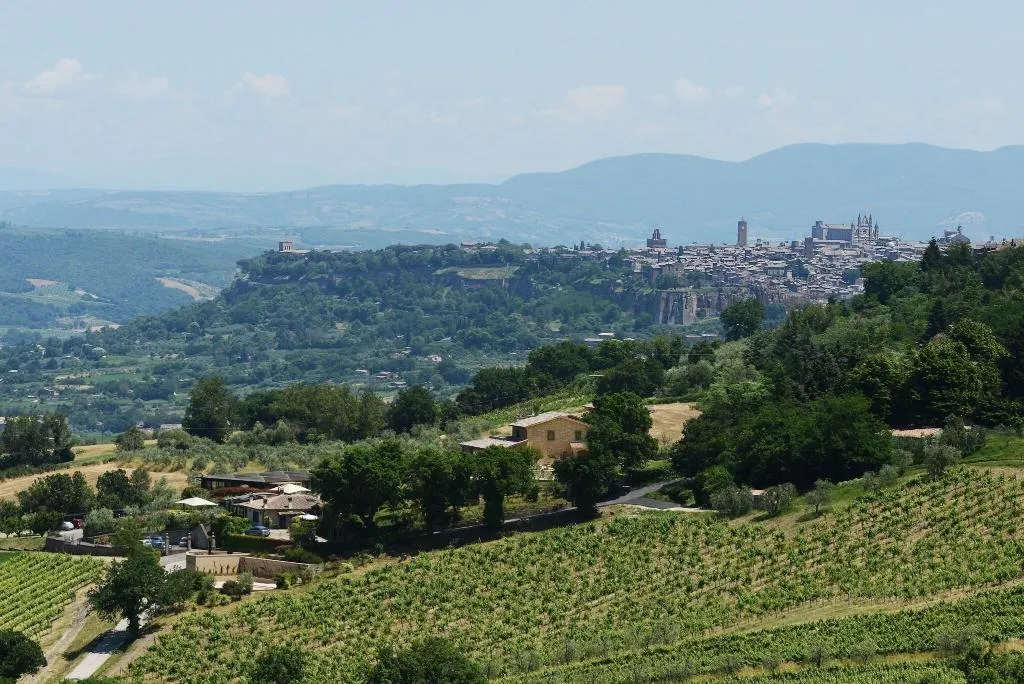 General view, Altarocca Wine Resort, Perugia