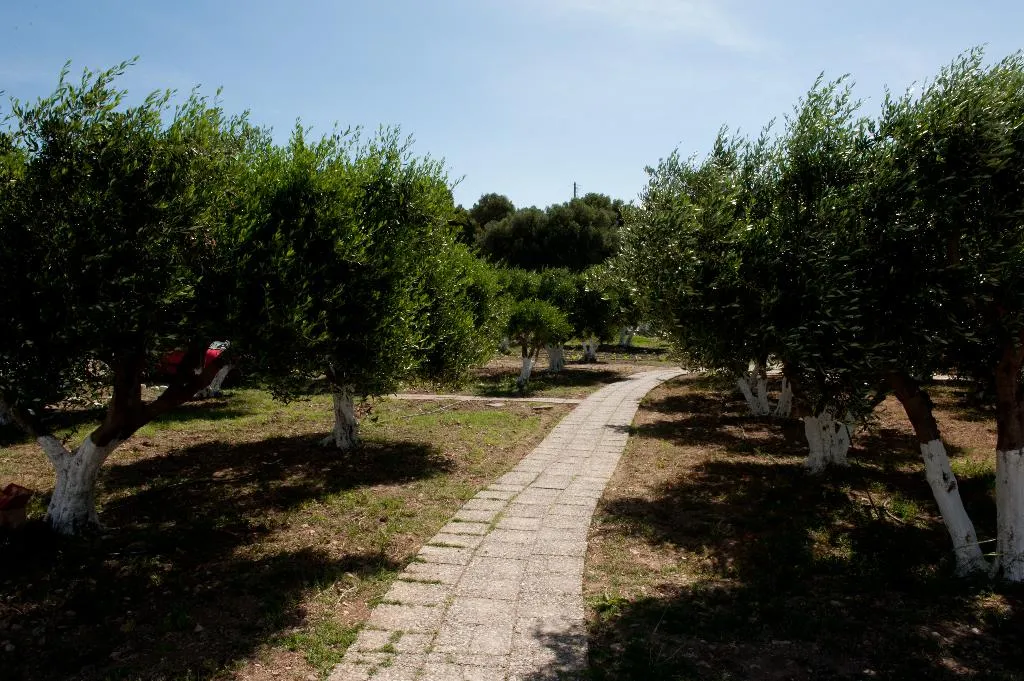 General view, Aphrodite Samos Superior Studios & Apartments, Samos