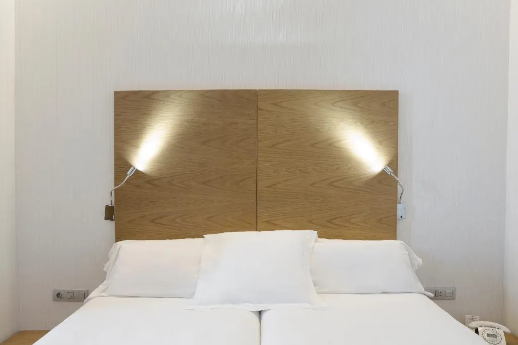 DOUBLE SINGLE USE STANDARD Room, Petit Palace Plaza Malaga, Costa Del Sol