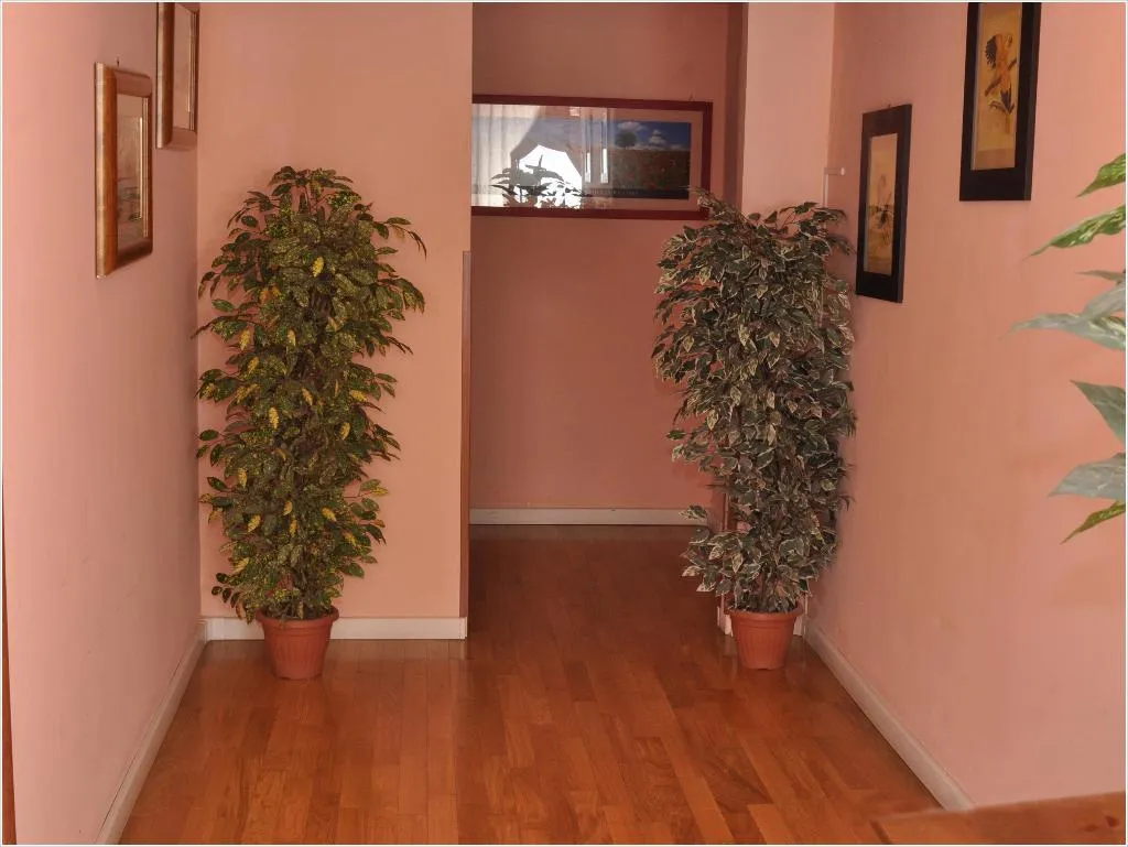 General view, Gialel B&b, Rome