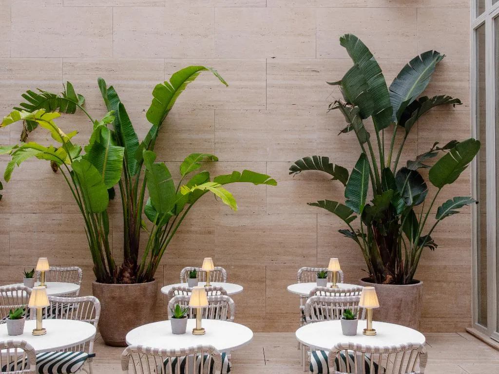 Terrace, Browns Avenue Hotel, Lisbon