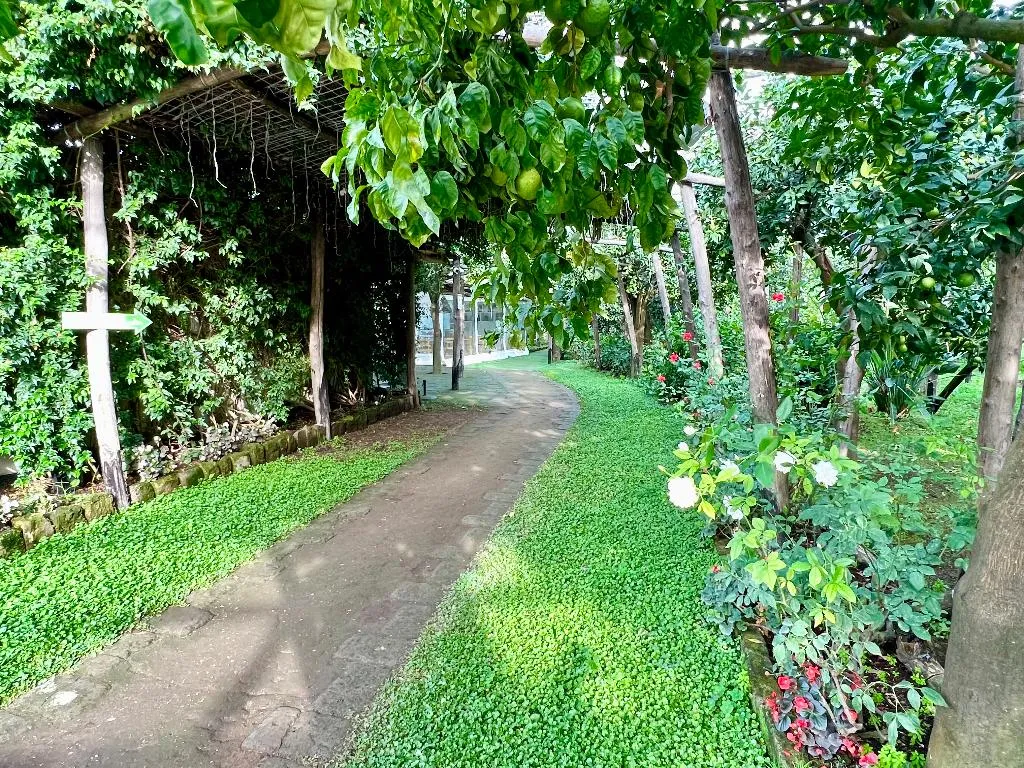 General view, Relais Correale Rooms&Garden, Naples