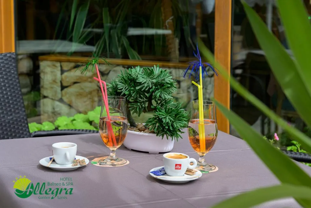 Restaurant, Allegra Balneo & Spa, Varna