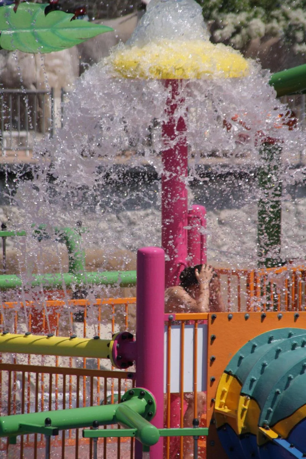 Sports and Entertainment, Reef Oasis Beach Resort, Red Sea Riviera