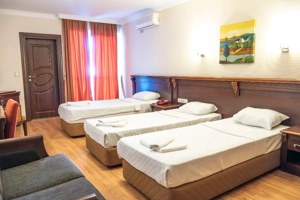 Room STANDARD Room, Alkan Hotel, Dalaman