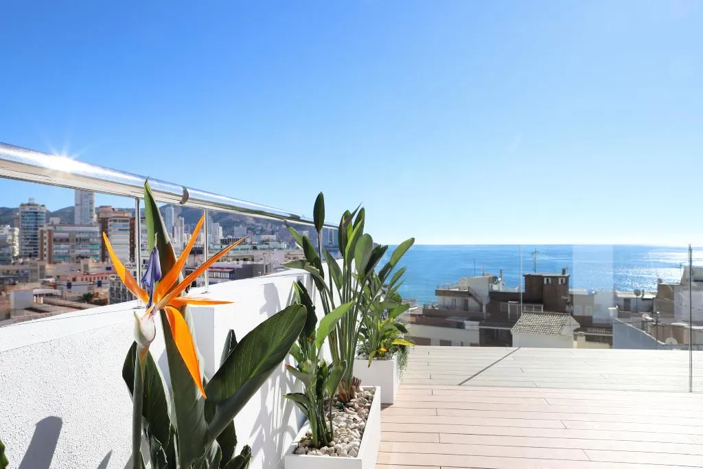 Terrace, Alameda, Costa Blanca