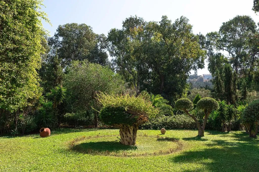 General view, Dionysos, Rhodes