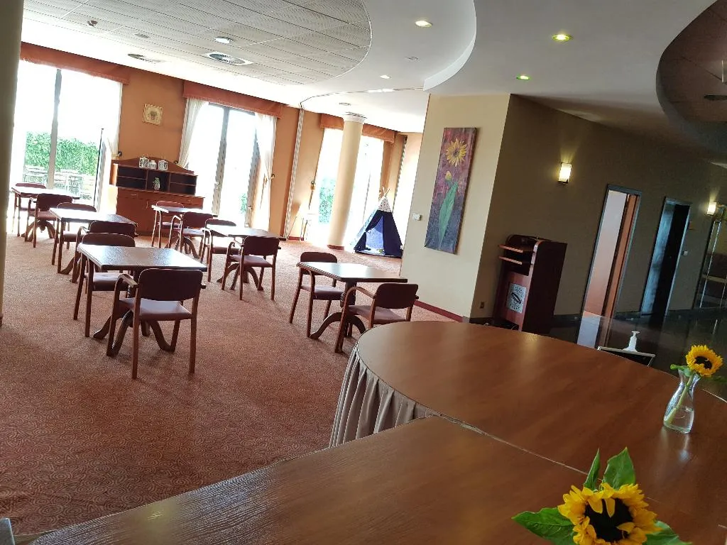 Restaurant, Sympozjum Hotel & Spa, Krakow