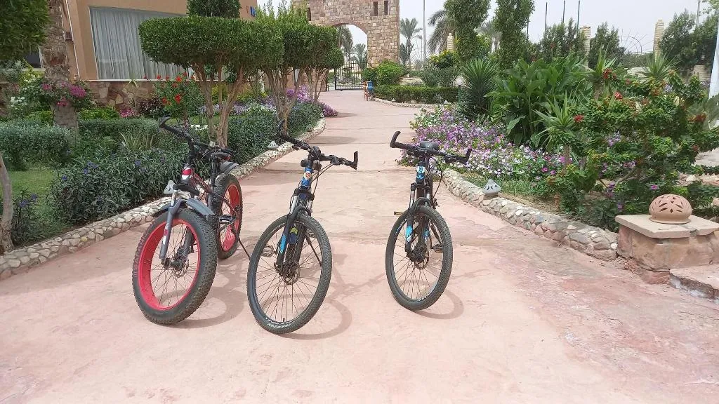 Sports and Entertainment, Silver Beach Boutique Hotel, Red Sea Riviera