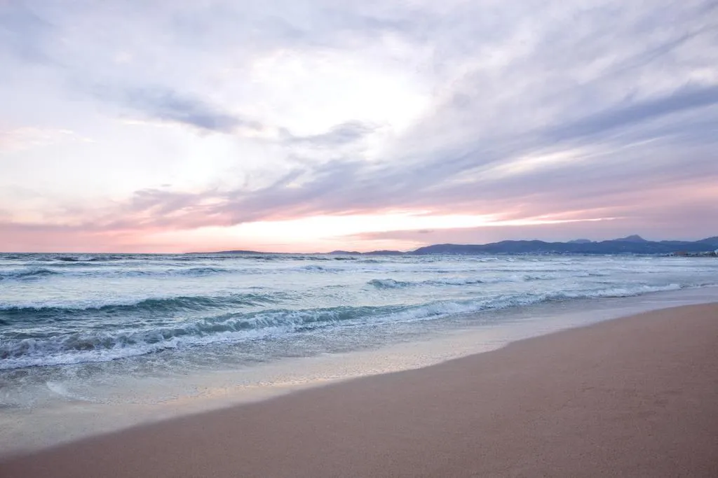 Beach, Hotel Foners - Adults only, Majorca