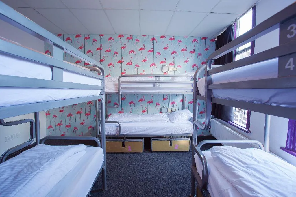 Bed in dormitory STANDARD Room, Flying Pigs Downtown Hostel Amsterdam, Amsterdam