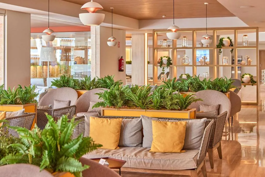 Bar, Zafiro Bahia, Majorca
