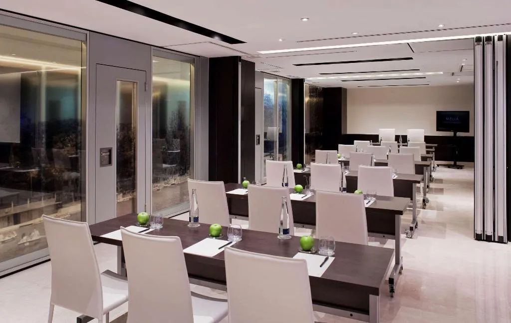 Conferences, Melia Madrid Princesa, Madrid