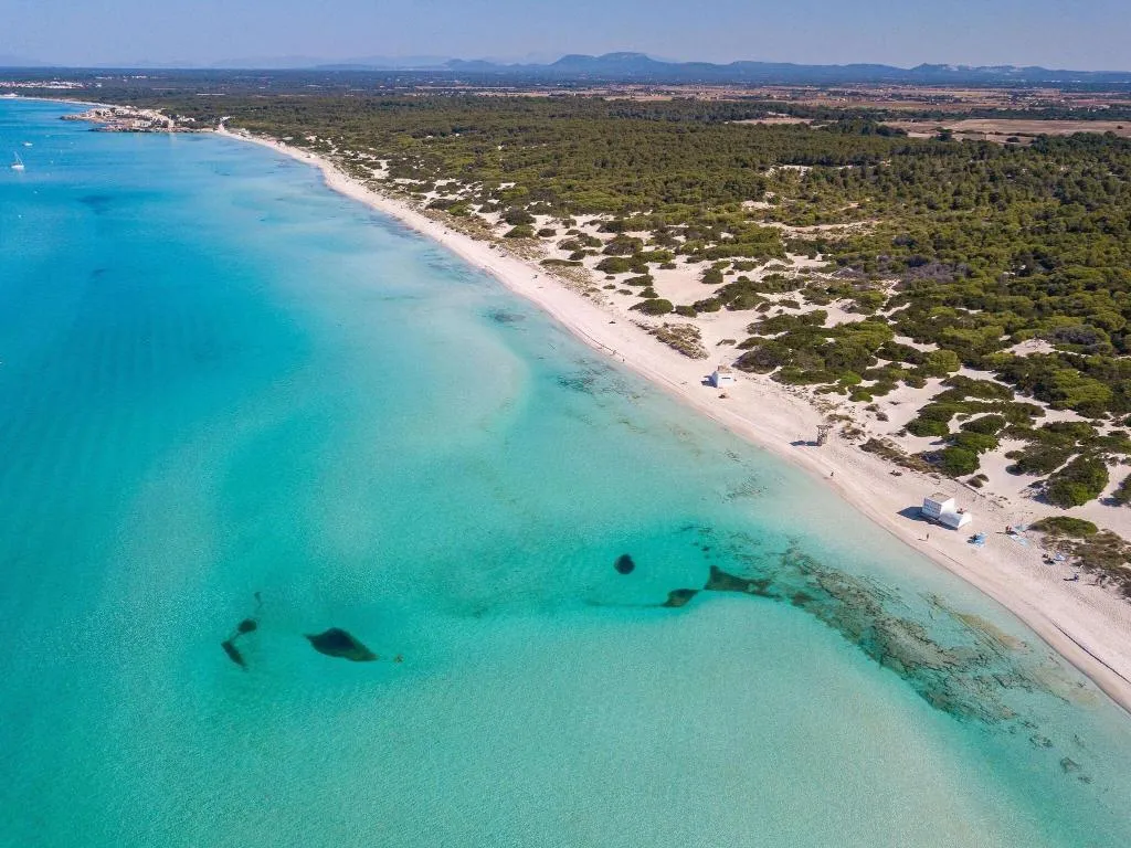 Beach, Blau Colonia Sant Jordi Resort, Majorca