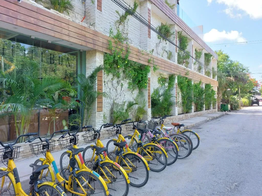 Sports and Entertainment, Xperience Tulum Hotel, Cancun Area