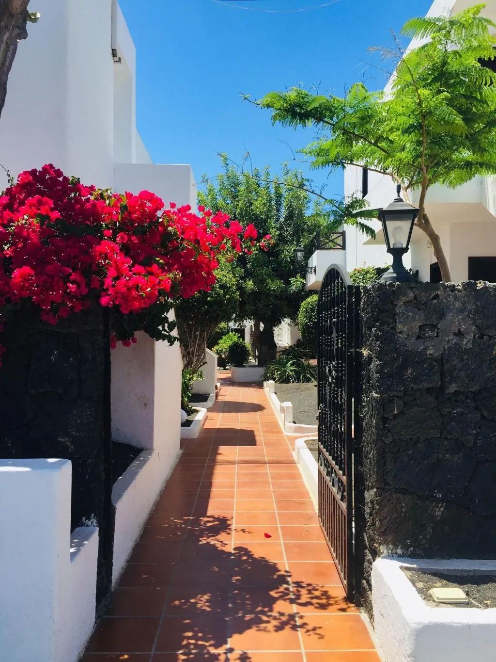 General view, Maribel, Lanzarote