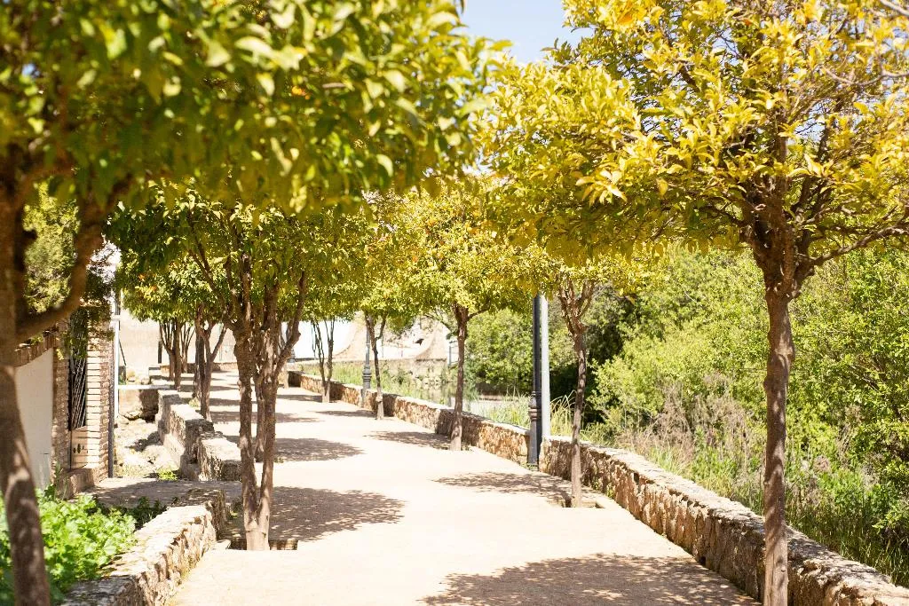 General view, Hotel Rural El Castillejo, Andalucia