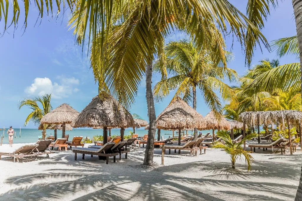 Beach, Zomay Beachfront Holbox, Cancun Area