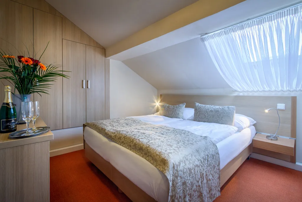 SINGLE ECONOMY Room, Taurus, Prague