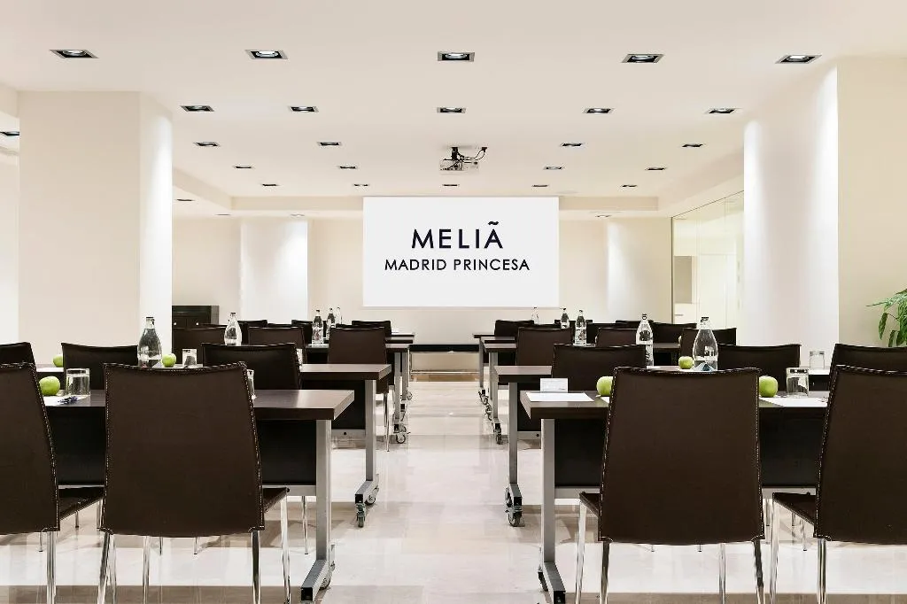 Conferences, Melia Madrid Princesa, Madrid