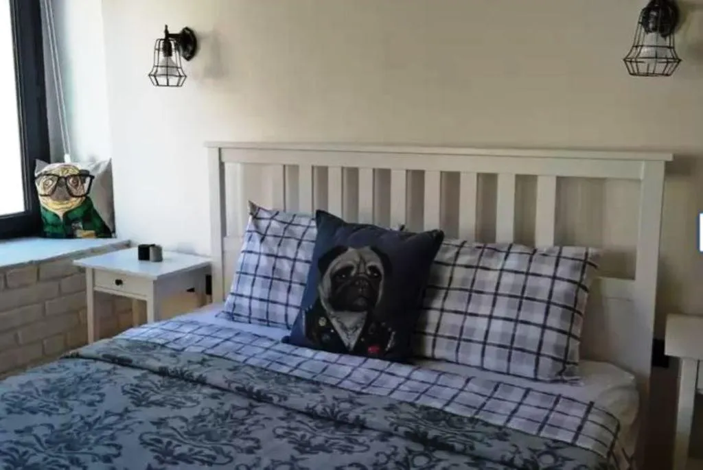 Room, Pug Rooms, Izmir