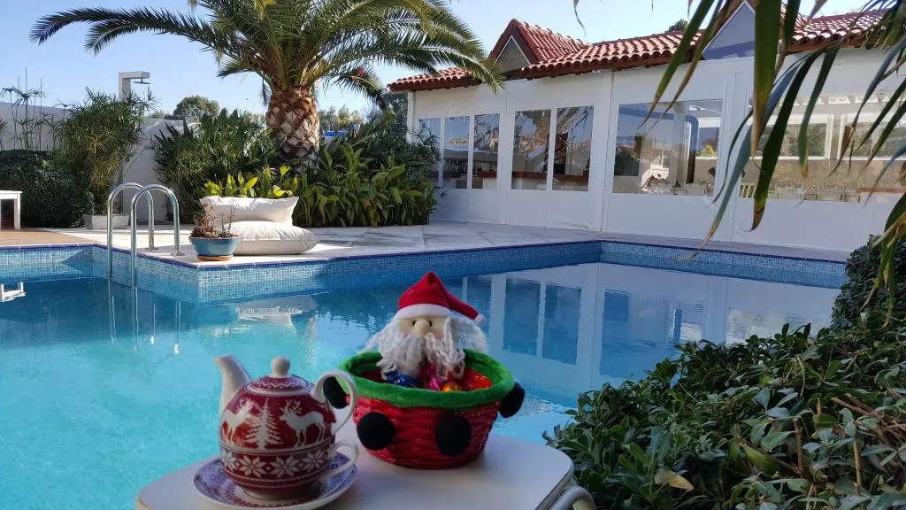 Pool, Alenos Boutique Hotel, Izmir