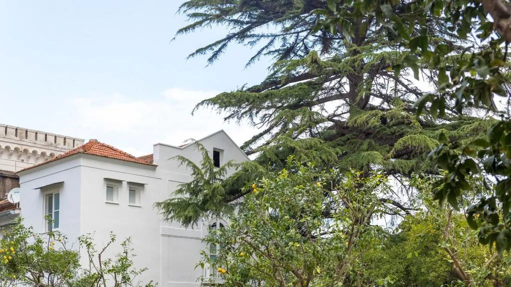 General view, Villa Manning Relais, Naples