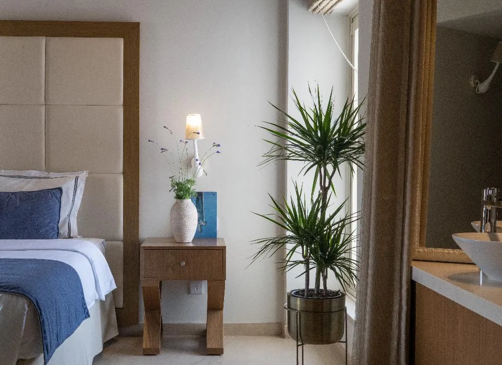 Room, King Jason, Cyprus