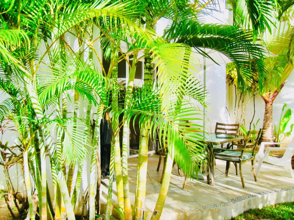 Room SUPERIOR Room, Dolce Vita Caribe B&B, Playa Del Carmen