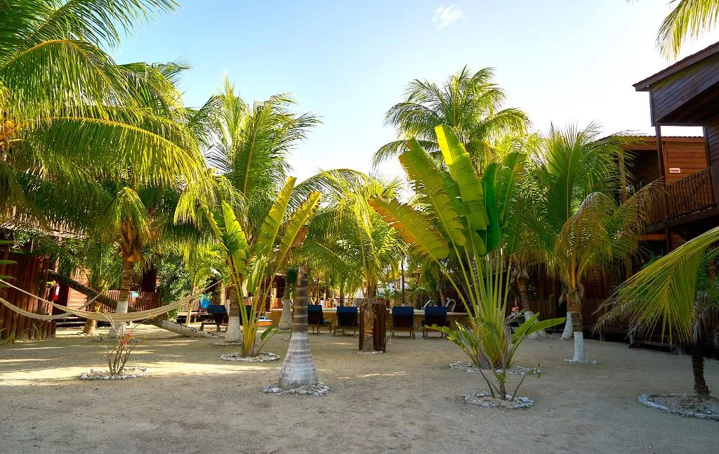 General view, Coconut By ÓOL Hotels, Cancun Area