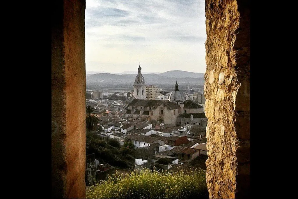 General view, Vernisa, Valencia