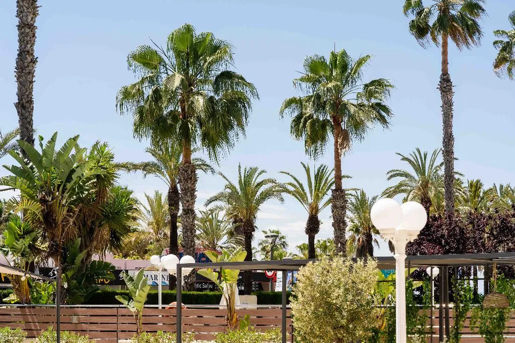 Terrace, Planas, Costa Dorada