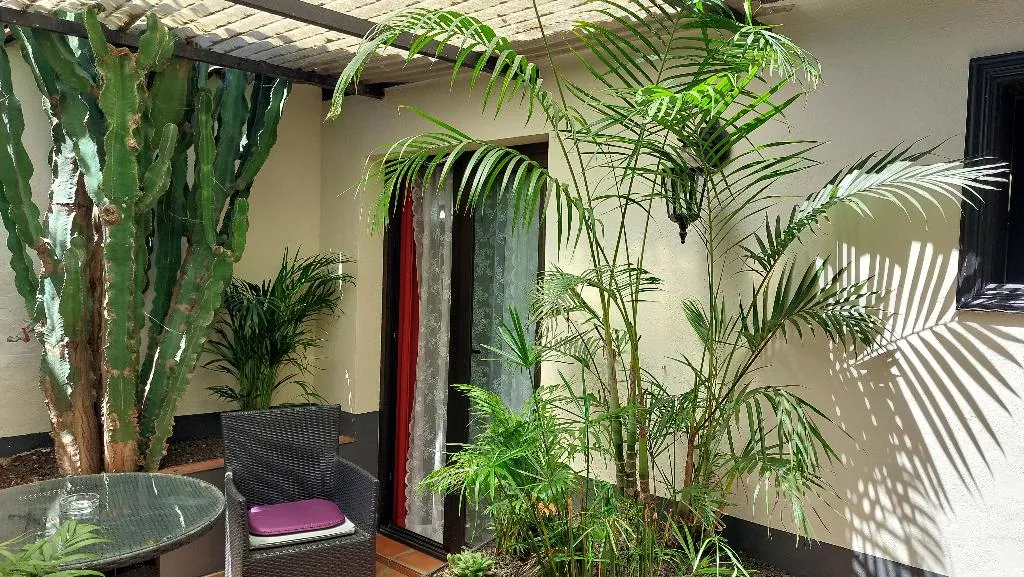 Conferences, Apartamentos Monasterio de San Antonio Only Adults, Tenerife