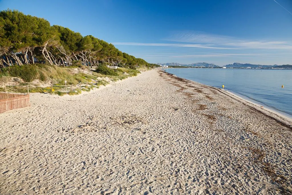 Beach, JS Alcudi Mar, Majorca