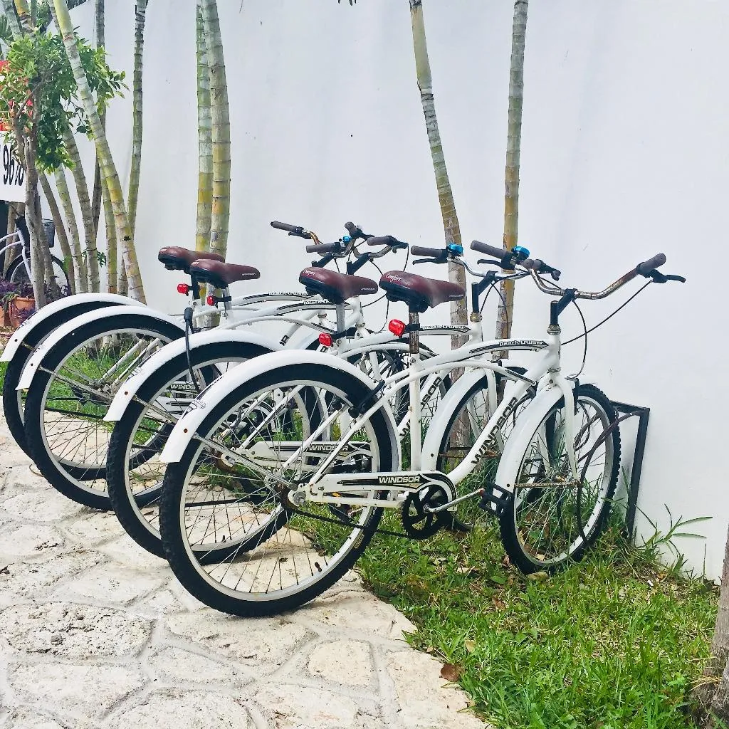 Sports and Entertainment, Dolce Vita Caribe B&B, Playa Del Carmen