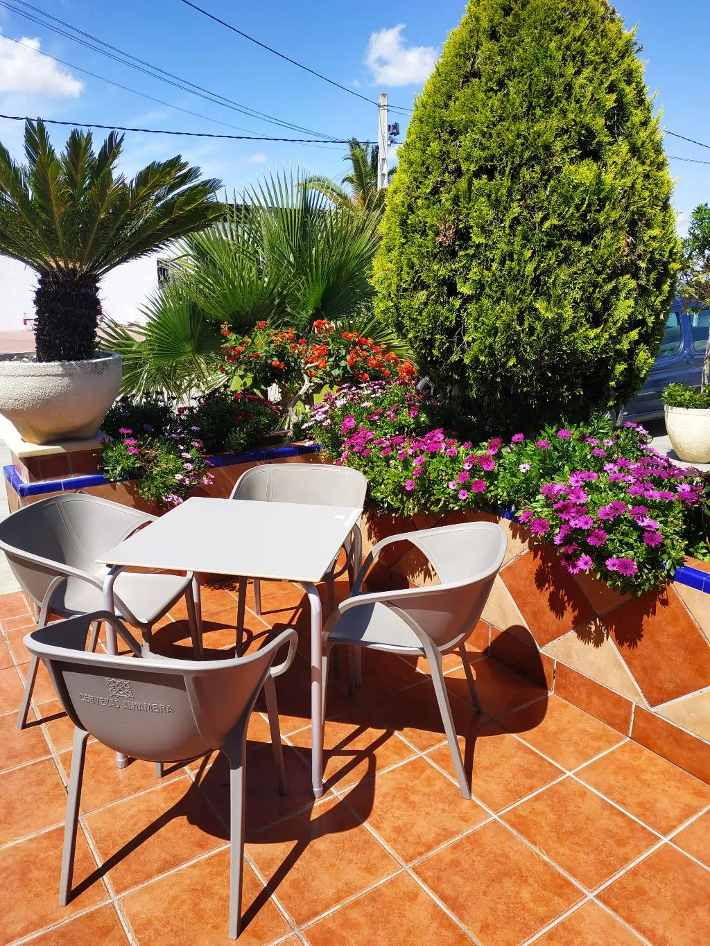 Terrace, Hotel Carmen, Costa Del Sol