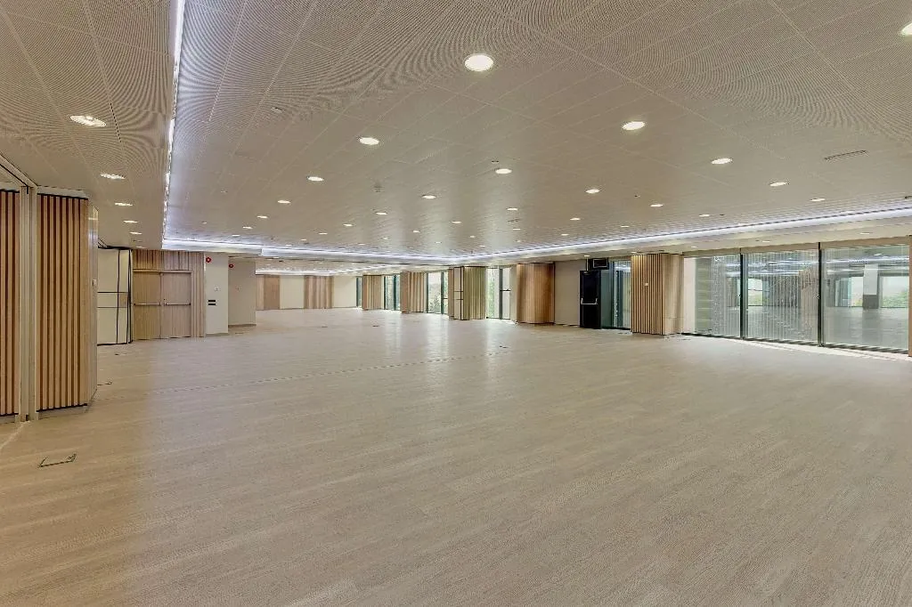 Conferences, Melia Avenida America, Madrid