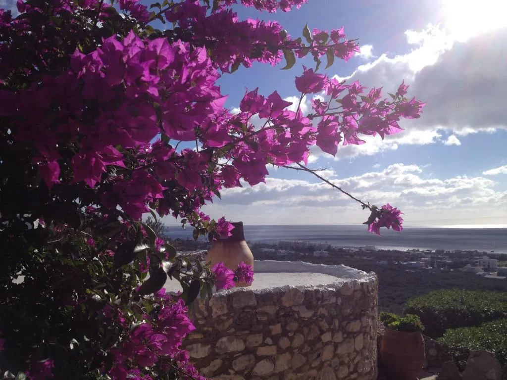 General view, Koutsounari Traditional Cottages, Crete