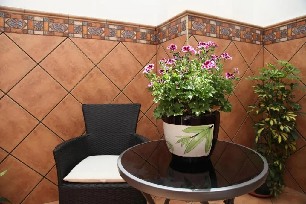 Room, Hostal Avenida, Andalucia